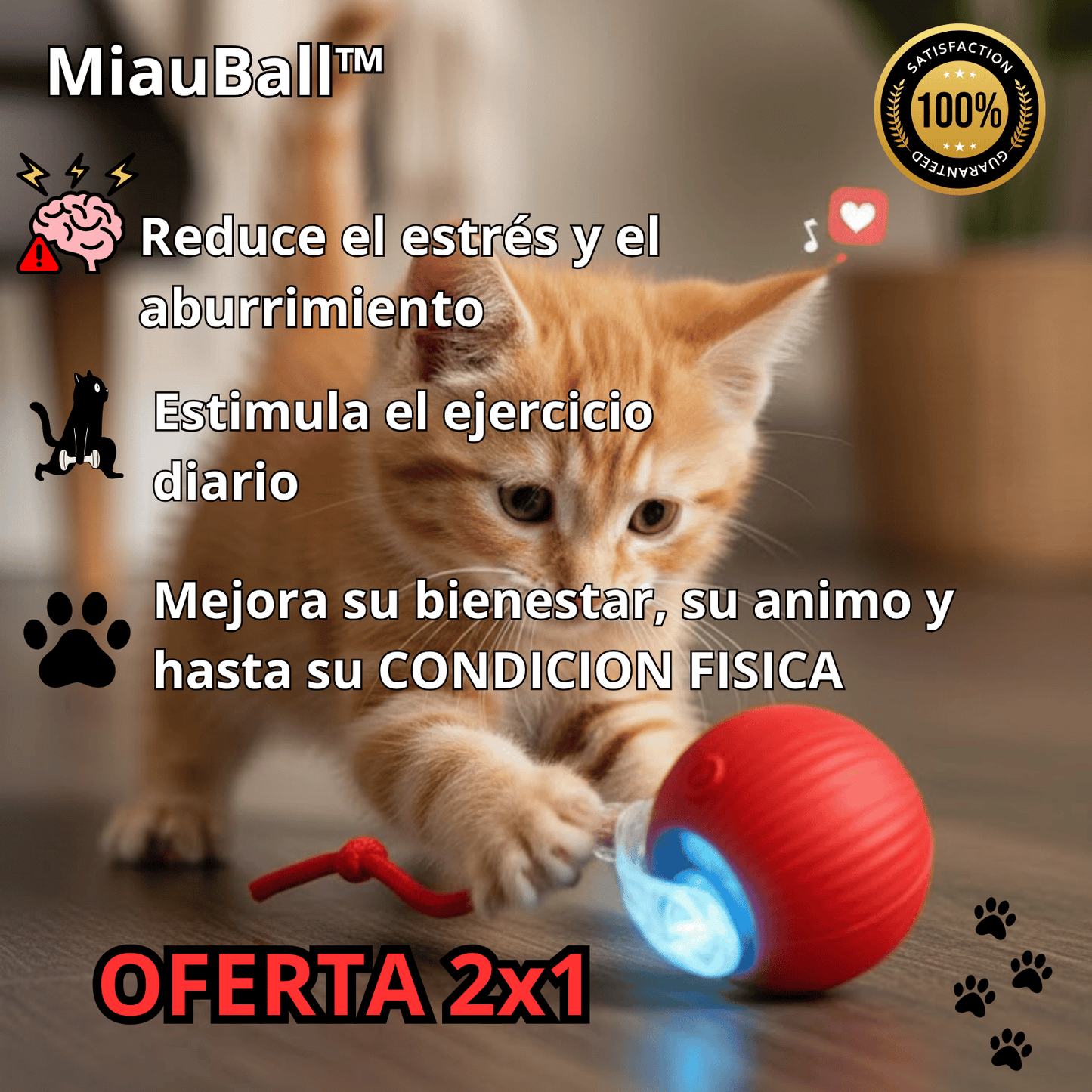 La Pelota MiauBall™ - Diversión Ilimitada para tu gato