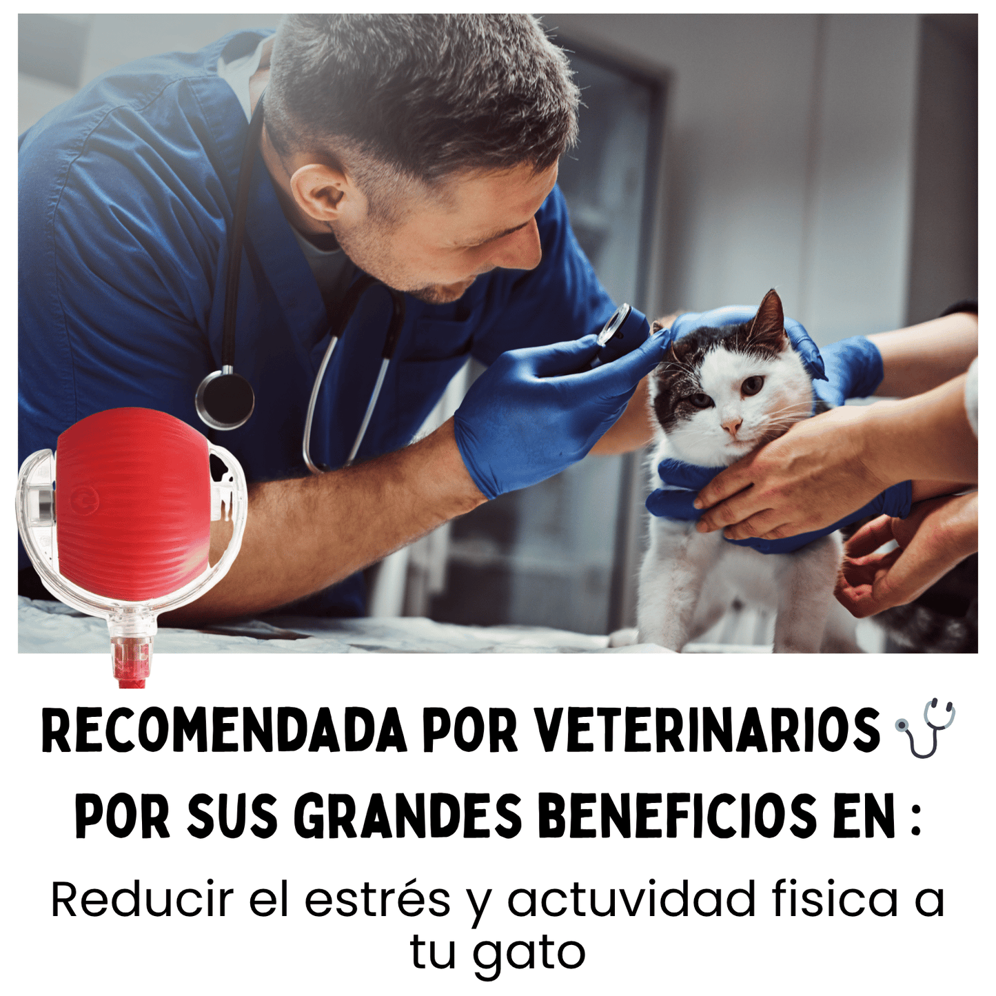 La Pelota MiauBall™ - Diversión Ilimitada para tu gato