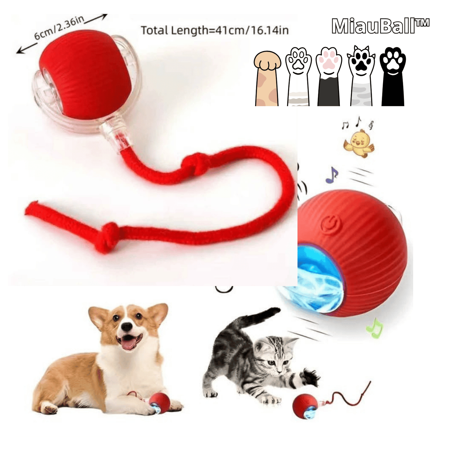La Pelota MiauBall™ - Diversión Ilimitada para tu gato